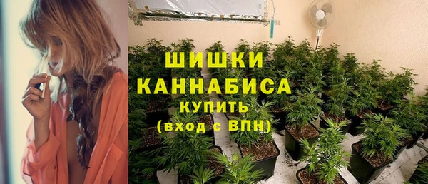 бошки Пересвет