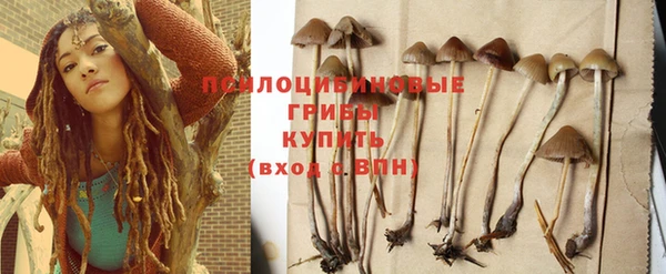 дживик Алексин