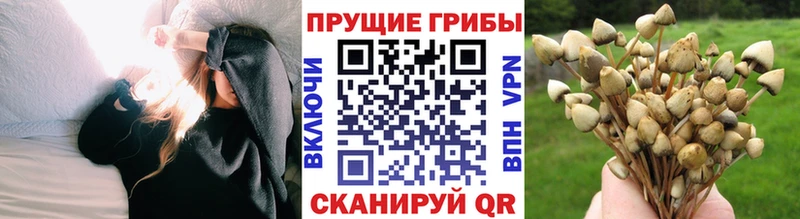 Псилоцибиновые грибы ЛСД  OMG вход  Оханск 
